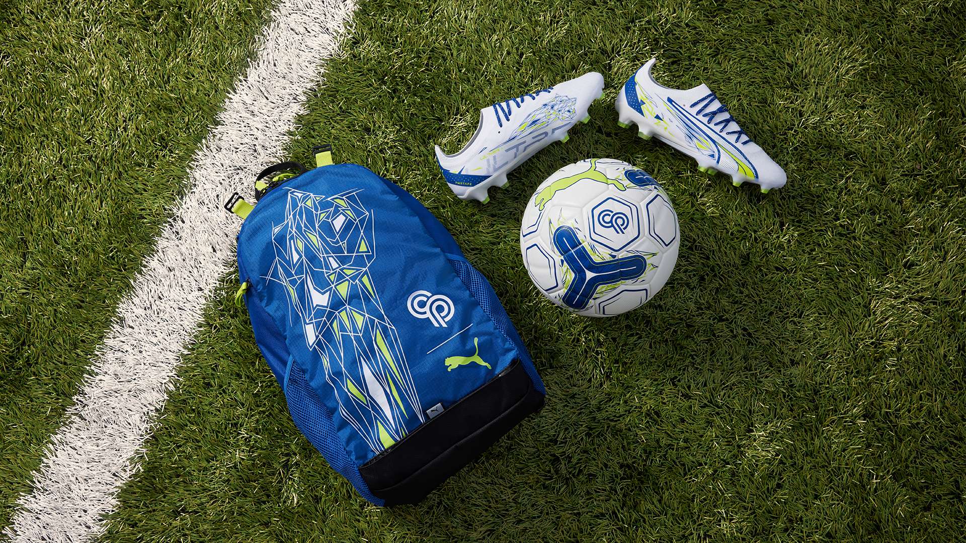 的年轻球员 的年轻球员